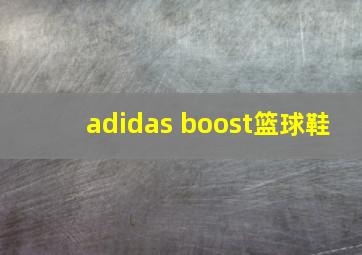 adidas boost篮球鞋